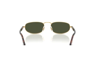 Vista posteriore Persol PO1028S (515/31)