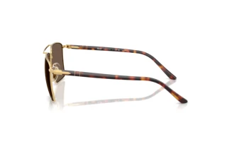 Vista laterale Persol PO1031S (11568T)