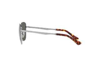 Vista laterale Persol PO2497S (513/58)