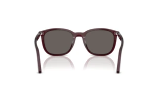 Vista posteriore Persol PO3355S (1216B1)