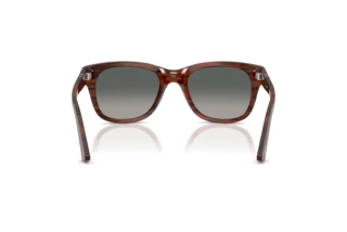 Vista posteriore Persol PO3372S (122371)