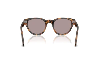 Vista posteriore Persol PO3379S (105253)