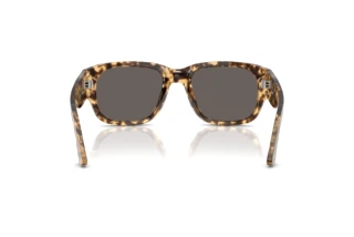 Vista posteriore Persol PO3380S (1056B1)