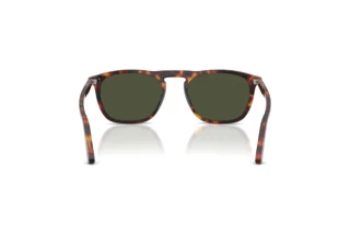 Vista posteriore Persol GAE (PO3391S - 24/31)
