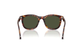 Vista posteriore Persol PO3395S (24/31)