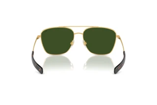 Vista posteriore Polo PH3147 (941171)