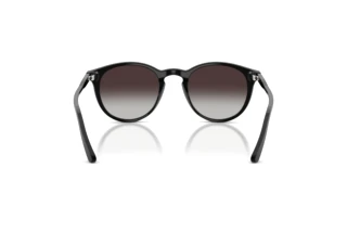 Vista posteriore Polo PH4110 (50018G)