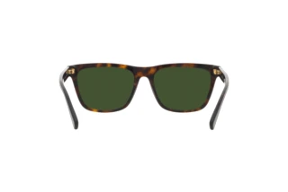 Vista posteriore Polo PH4167 (500371)