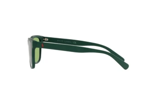 Vista laterale Polo PH4167 (5421/2)