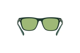 Vista posteriore Polo PH4167 (5421/2)