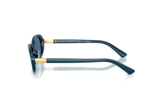 Vista laterale Polo PH4198U (546580)