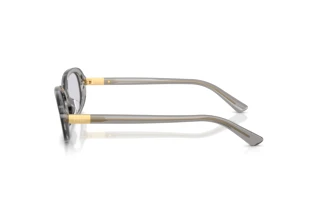 Vista laterale Polo PH4198U (63181A)