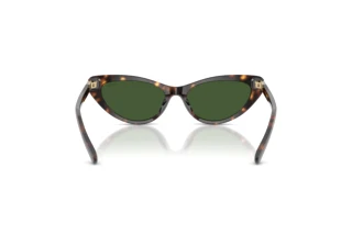 Vista posteriore Polo PH4199U (500371)