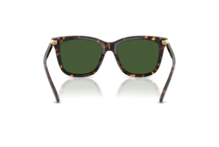 Vista posteriore Polo PH4201U (500371)