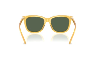 Vista posteriore Polo PH4201U (500571)