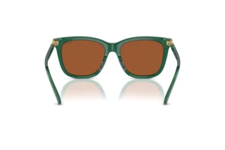 Vista posteriore Polo PH4201U (619573)