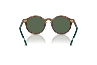 Vista posteriore Polo PH4204U (501771)