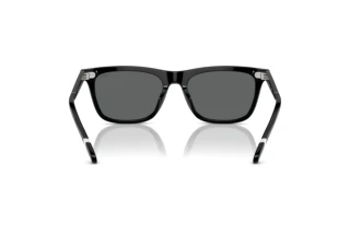 Vista posteriore Polo PH4205U (500187)