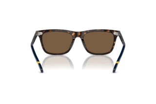 Vista posteriore Polo PH4205U (500373)