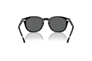 Vista posteriore Polo PH4206 (500187)