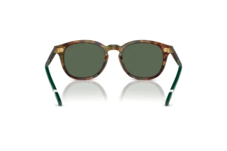 Vista posteriore Polo PH4206 (501771)