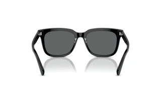 Vista posteriore Polo PH4210 (500187)