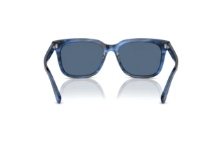 Vista posteriore Polo PH4210 (613980)