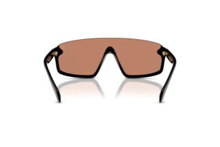 Vista posteriore Polo PH4211U (50017J)