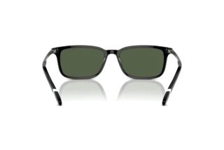 Vista posteriore Polo PH4212 (50019A)