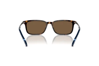 Vista posteriore Polo PH4212 (500373)