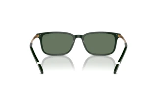 Vista posteriore Polo PH4212 (614071)