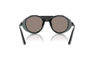 Vista posteriore Polo PH4216QU (50016G)