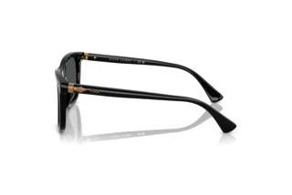 Vista laterale Polo PH4220U (500187)