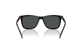 Vista posteriore Polo PH4220U (500187)