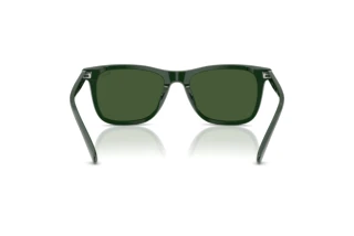 Vista posteriore Polo PH4220U (614071)