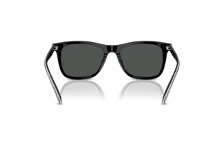 Vista posteriore Polo PH4220U (620287)