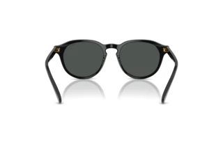 Vista posteriore Polo PH4221 (500187)