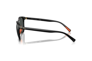 Vista laterale Polo PH4222U (500187)