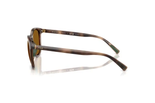 Vista laterale Polo PH4222U (500383)