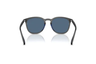 Vista posteriore Polo PH4222U (579980)