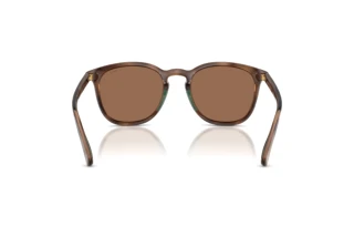 Vista posteriore Polo PH4222U (597473)