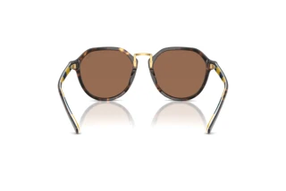 Vista posteriore Polo PH4223U (500373)