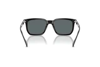 Vista posteriore Polo PH4224U (500181)