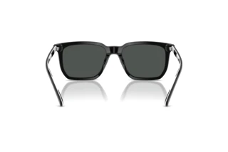 Vista posteriore Polo PH4224U (500187)