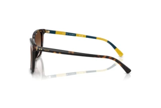 Vista laterale Polo PH4224U (500313)