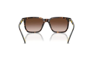 Vista posteriore Polo PH4224U (500313)