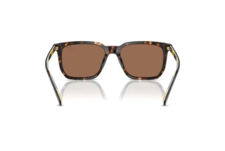 Vista posteriore Polo PH4224U (500373)