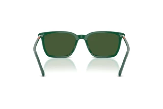 Vista posteriore Polo PH4226 (542171)