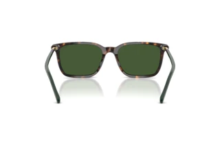 Vista posteriore Polo PH4226 (567371)