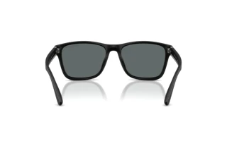 Vista posteriore Polo PH4229U (500181)